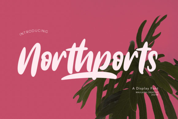 Northports: A Playful Display Font