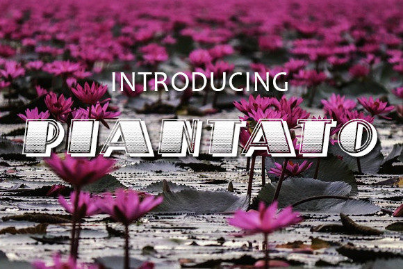 Piantato: A Bold Display Font for Modern Branding