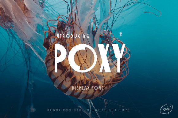 Poxy: A Display Font for Web Designers